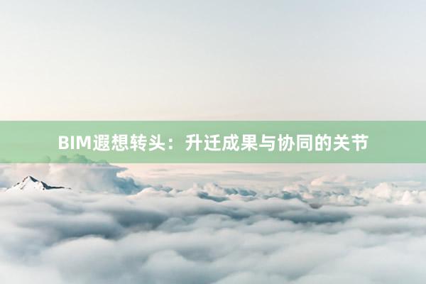 BIM遐想转头：升迁成果与协同的关节