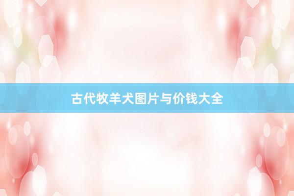 古代牧羊犬图片与价钱大全
