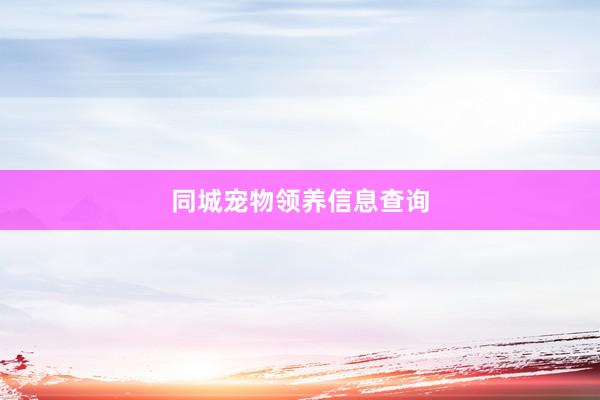 同城宠物领养信息查询