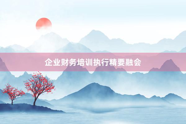 企业财务培训执行精要融会